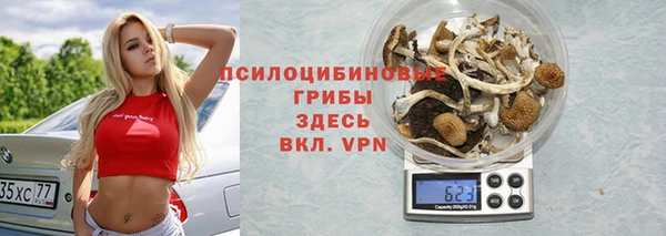 PSILOCYBIN Богородицк