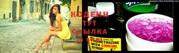 прущий лед Богданович