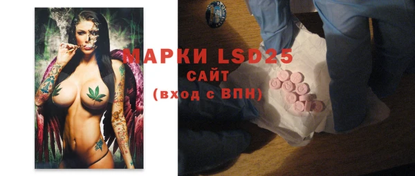 прущий лед Богданович