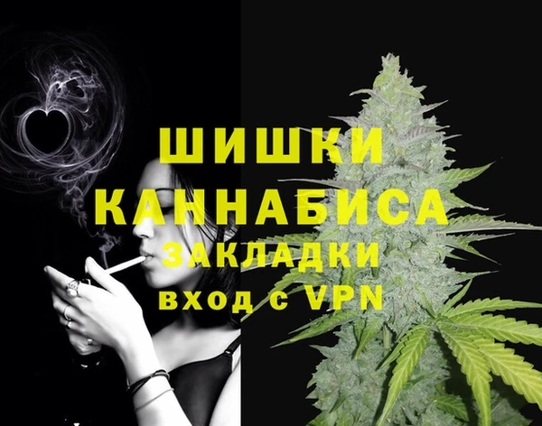 PSILOCYBIN Богородицк