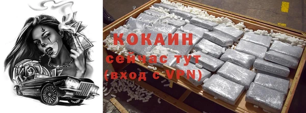прущий лед Богданович