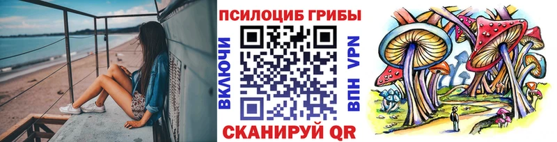 Купить  Кораблино  Галлюциногенные грибы мухоморы 